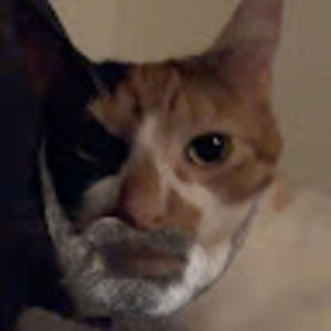 Meet your Posher, Ihyemma